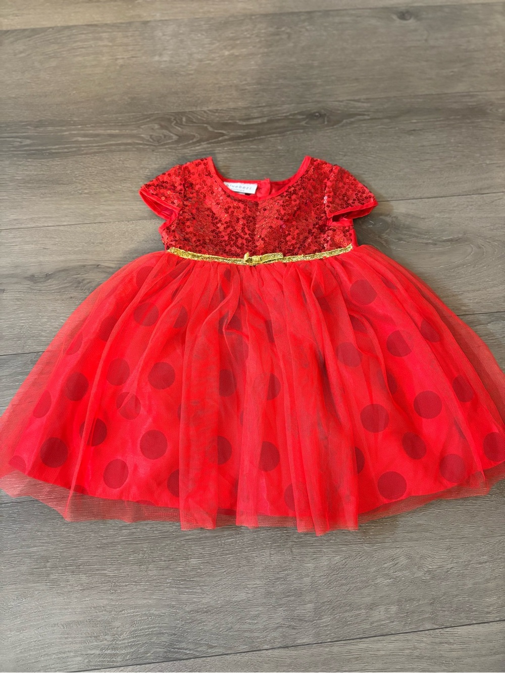 Blueberi Boulevard Red Sequin Top